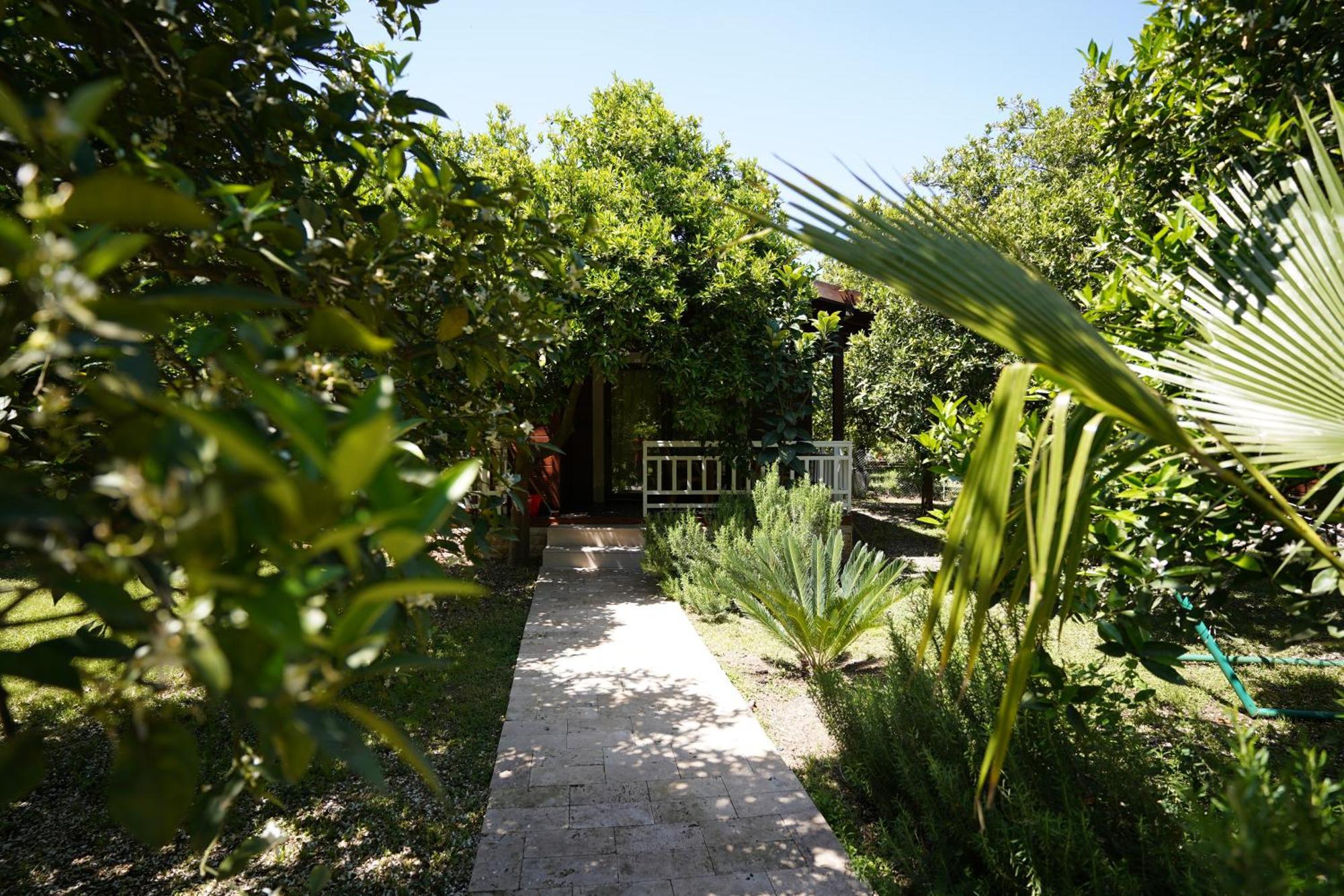 Cirali Villas 2 Ngoại thất bức ảnh